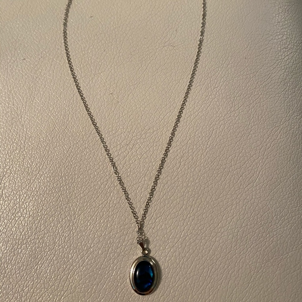 NWOT Blue jewelled necklace